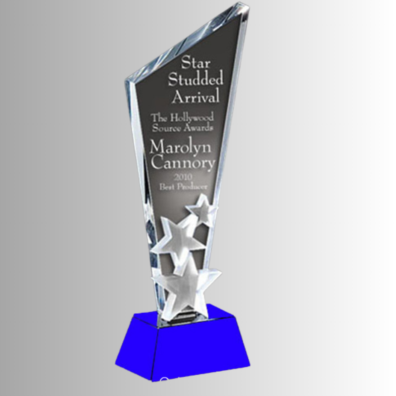 Cúp pha lê C-113 1 Cúp pha lê C-113